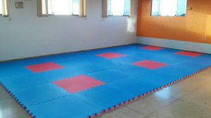 Sala de Judo